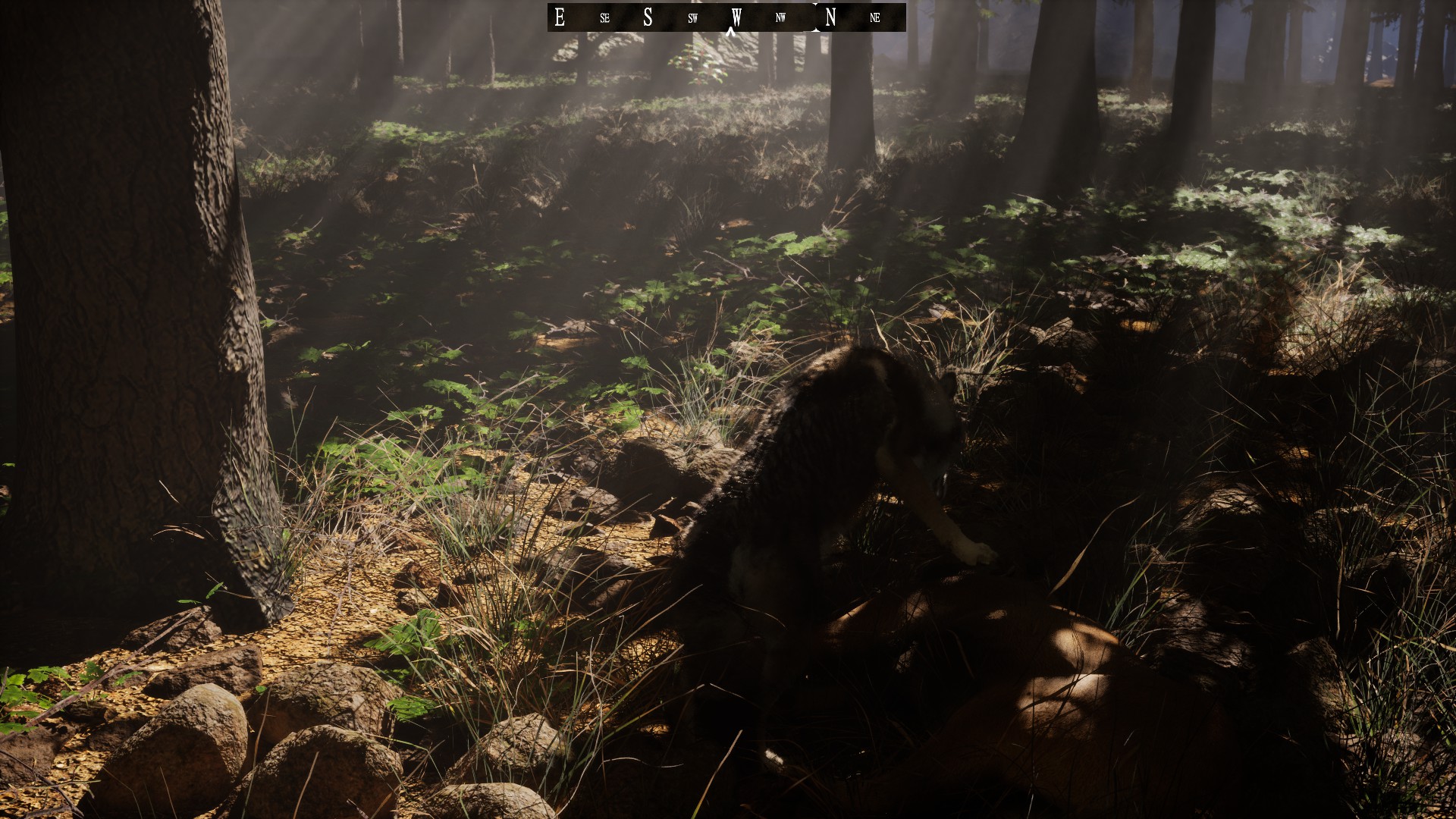 Wildlife in Untamed Kingdom